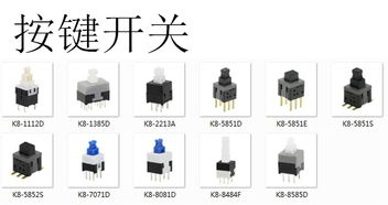 圖紙定做 服務(wù)至上彈片電池連接器,3pin3.0ph10.0h,立式側(cè)壓電池座,生物醫(yī)療設(shè)備用優(yōu)質(zhì)廠(chǎng)家