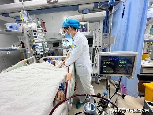 西安高新區(qū)醫(yī)療器械領(lǐng)域重大技術(shù)成果接連涌現(xiàn)