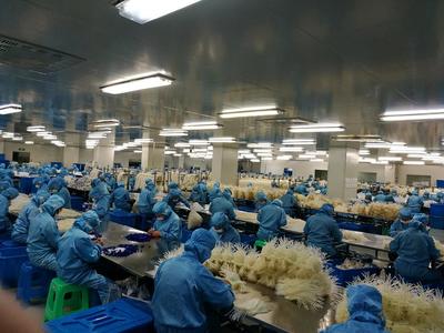 宜賓首家企業(yè)進(jìn)入商務(wù)部醫(yī)療物資出口“白名單”
